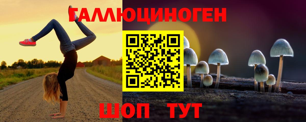 Карачаевск  Галлюциногенные грибы MAGIC MUSHROOMS  Вход с VPN 